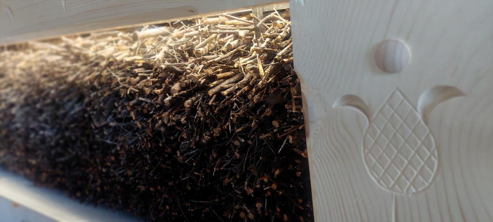 Apartamenty I Pokoje Pod Limbami - Sauna, Teznia Bukowina Tatrzańska Εξωτερικό φωτογραφία